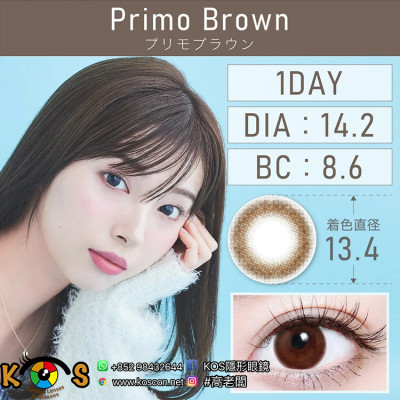 TeAmo 1Day Primo Brown ティアモ ワンデー プリモブラウン TeAmo 1Day Primo Brown ティアモ ワンデー プリモブラウン